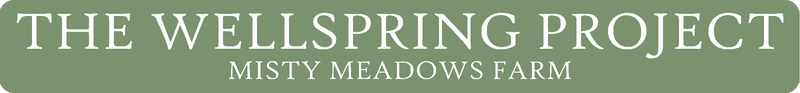 The Wellspring Project